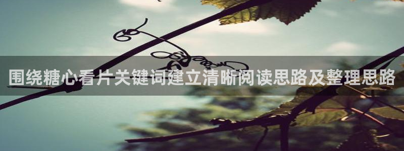 糖心vlog免费版