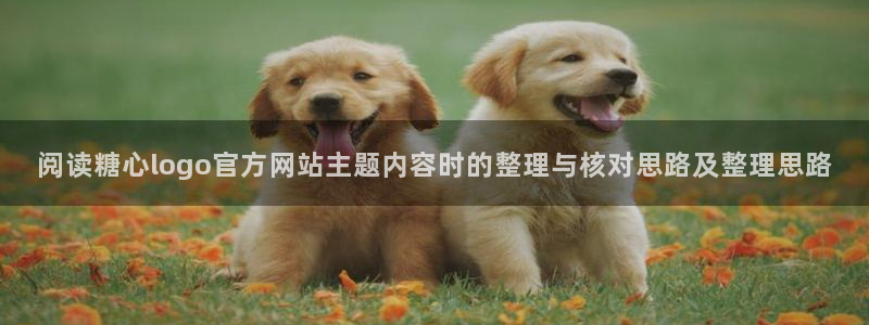 在线观看糖心