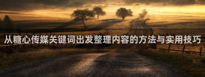 糖心vlog在线看