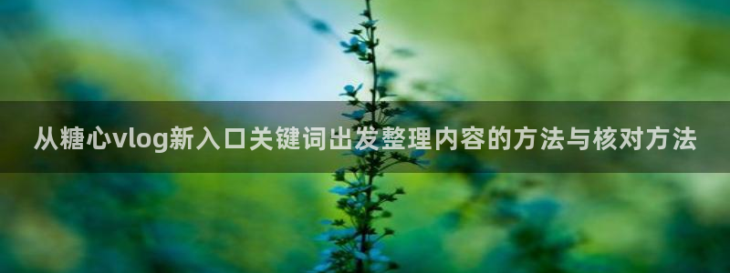 tg-tg-糖心官方网站