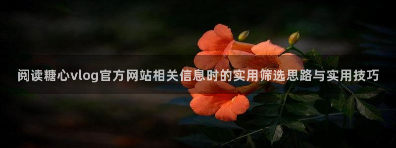 糖心vlog桥本香菜