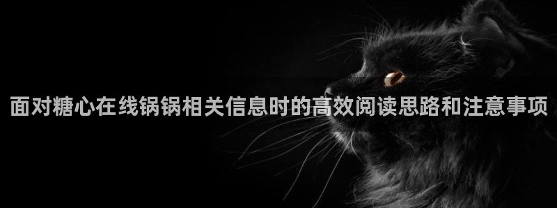 糖心视频app:面对糖心在线锅锅相关信息时的高效阅读思路和注意事项