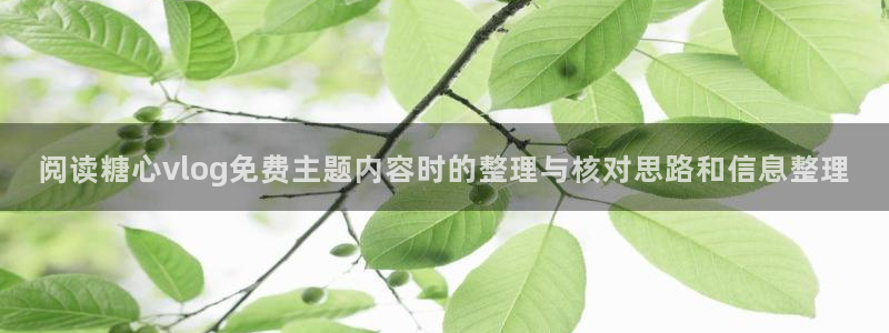 糖心vlog官网版下载