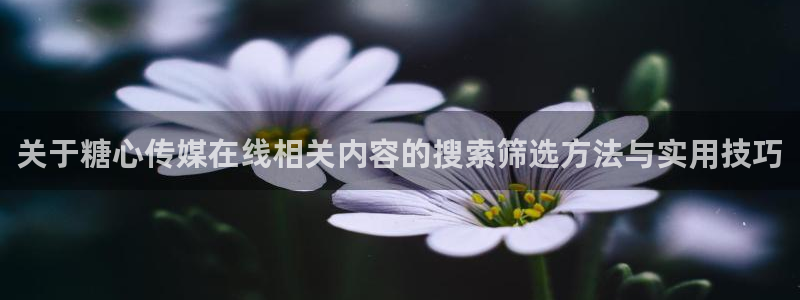 糖心vlog在线观看免费高清