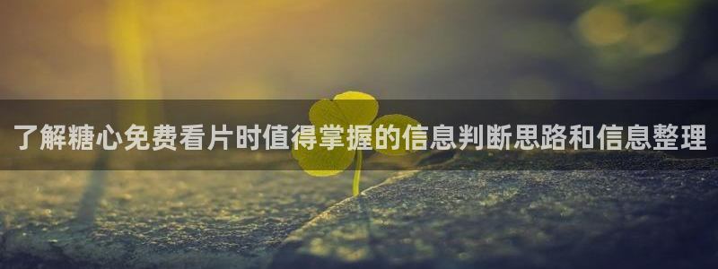 糖心vlog在线观看视频:了解糖心免费看片时值得掌握的信息判断思路和信息整理