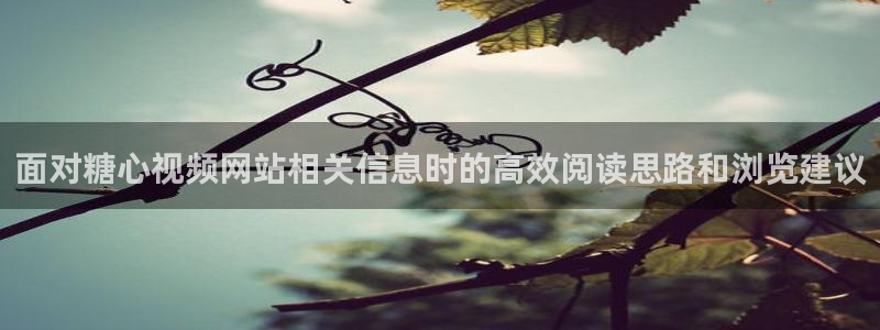 糖心在线免费观看：面对糖心视频网站相关信息时的高效阅读思路和浏览建议