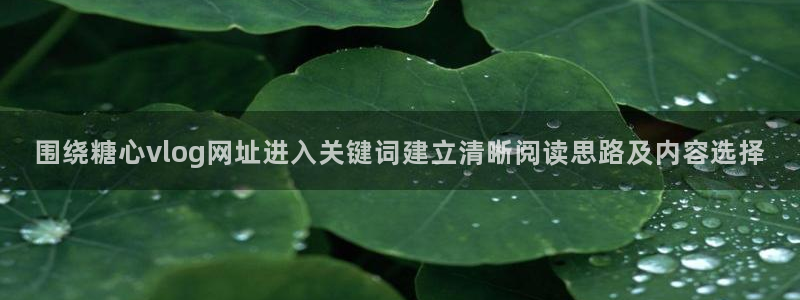 糖心视频免费在线观看:围绕糖心vlog网址进入关键词建立清晰阅读思路及内容选择